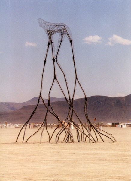 Photo of Like a horse, but not