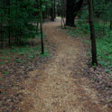 Path Leading To The Boulder Dedicated To The Memory of W.E.B. Du Bois