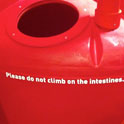Please do not climb on the intestines