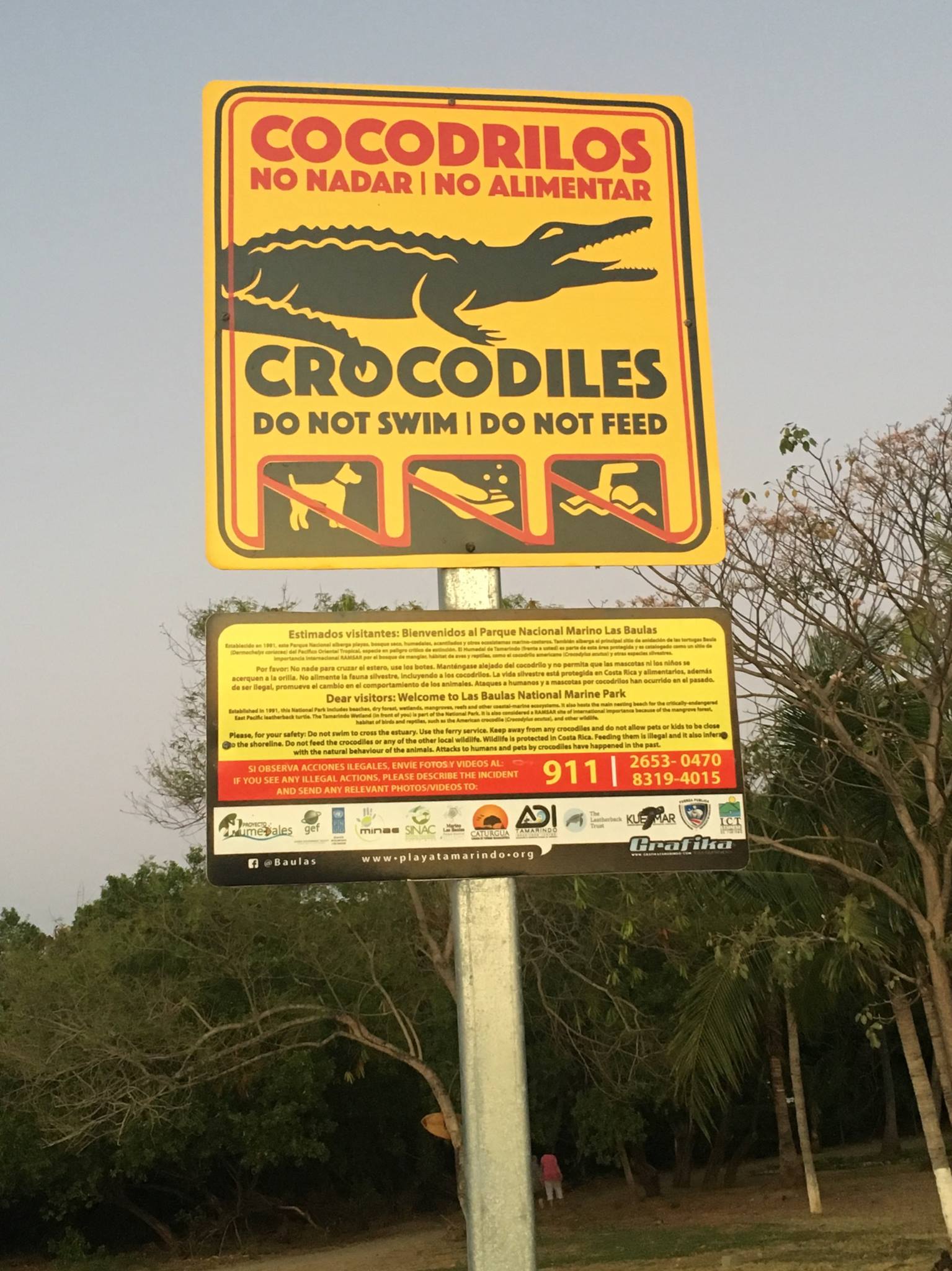 Photo of Do not feed your dog to the crocodiles