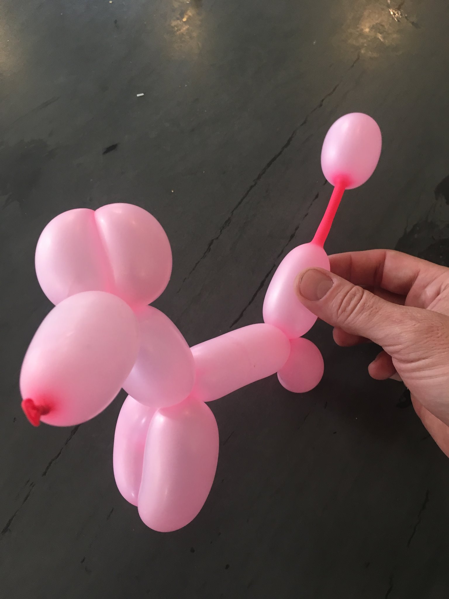 Photo of Woof woof squeak