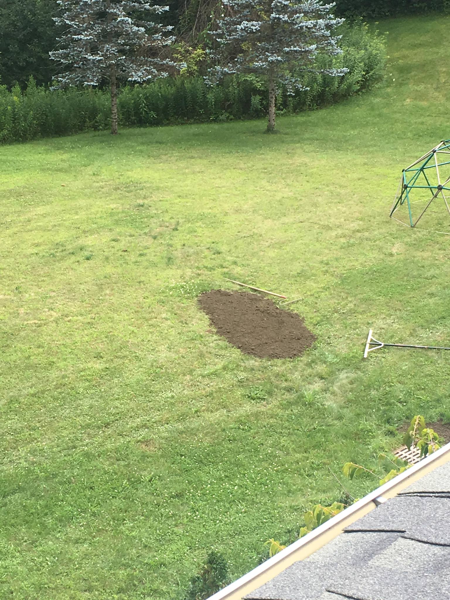 Photo of Some lawn repair