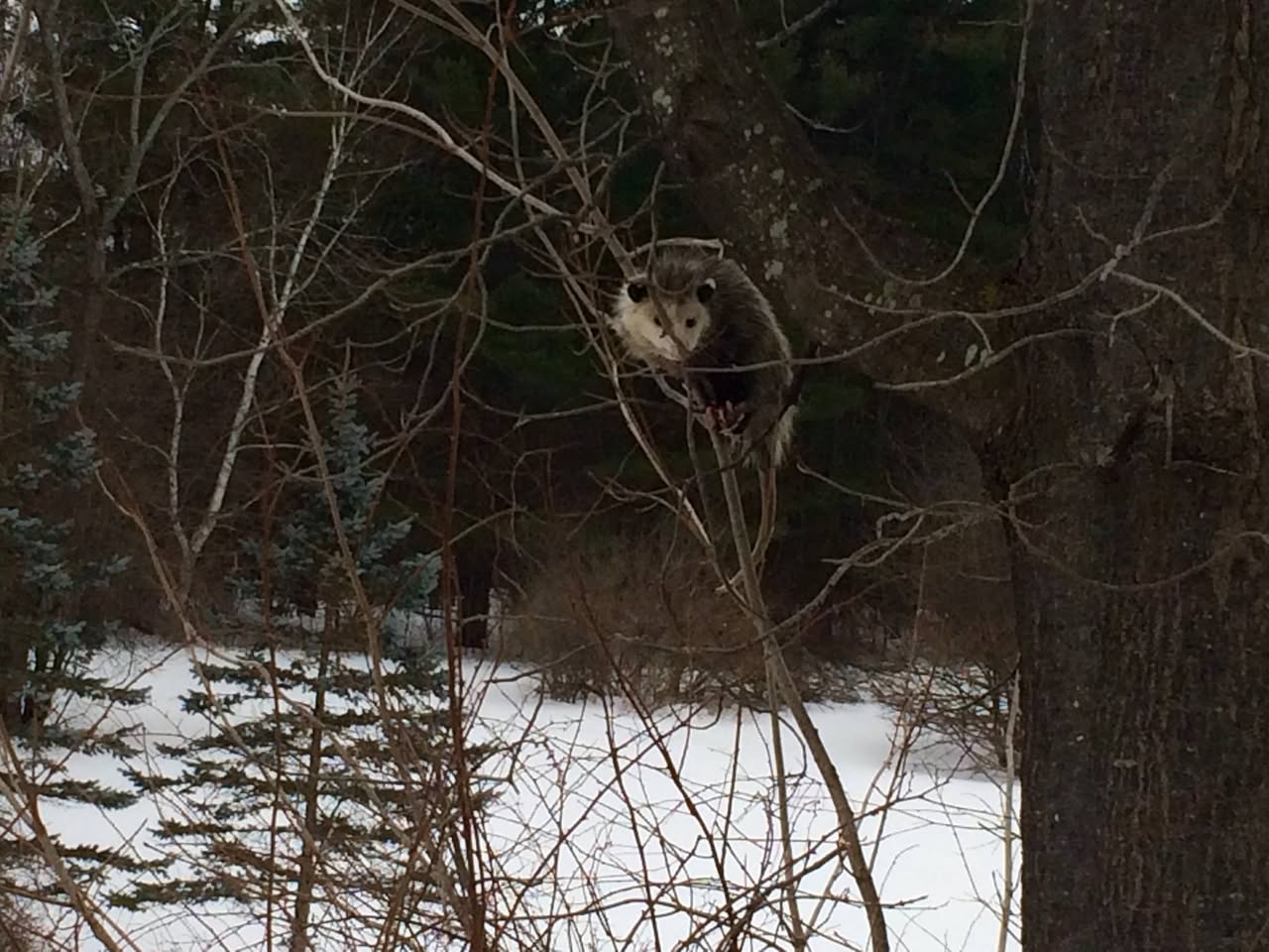 Photo of Our smiling zombie friend