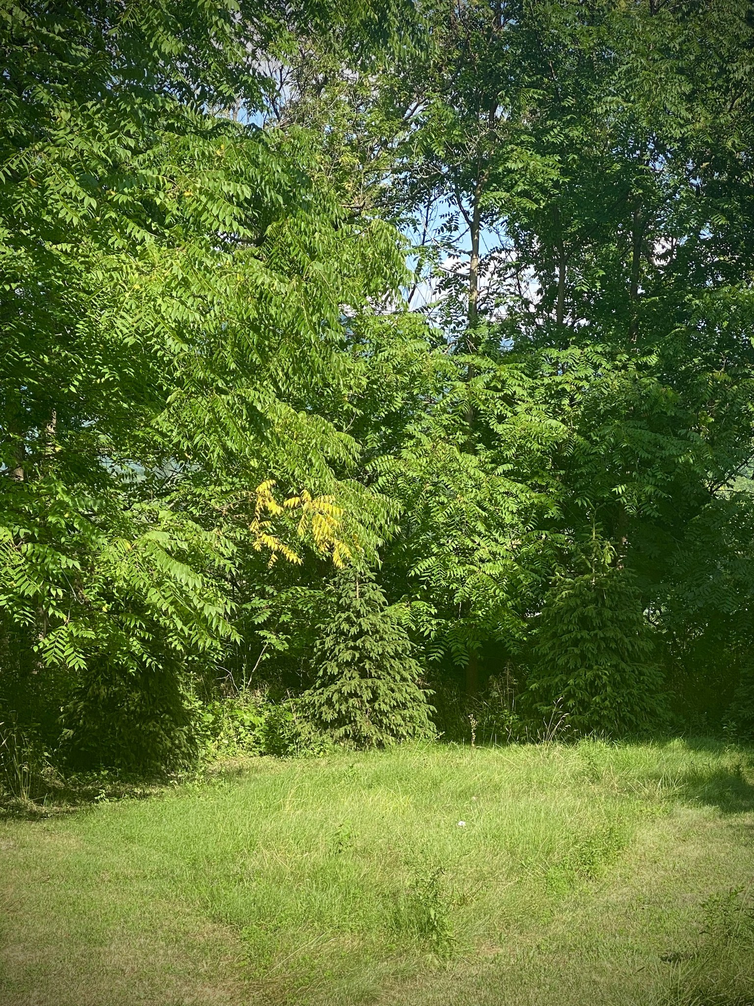 Photo of That one guy