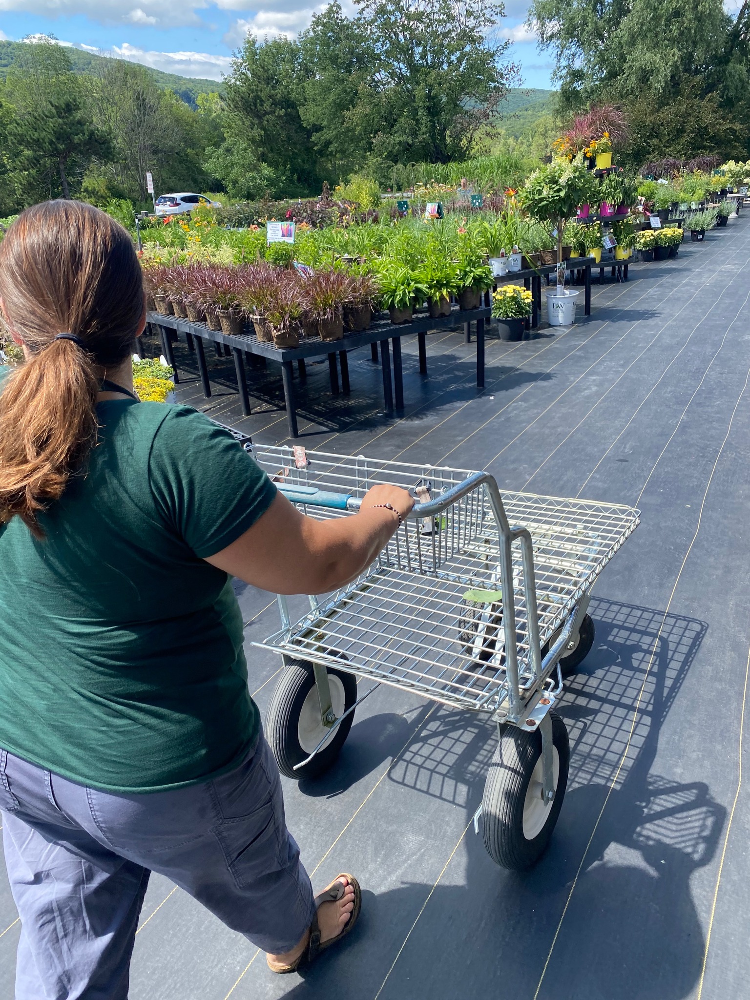 Photo of The Platform