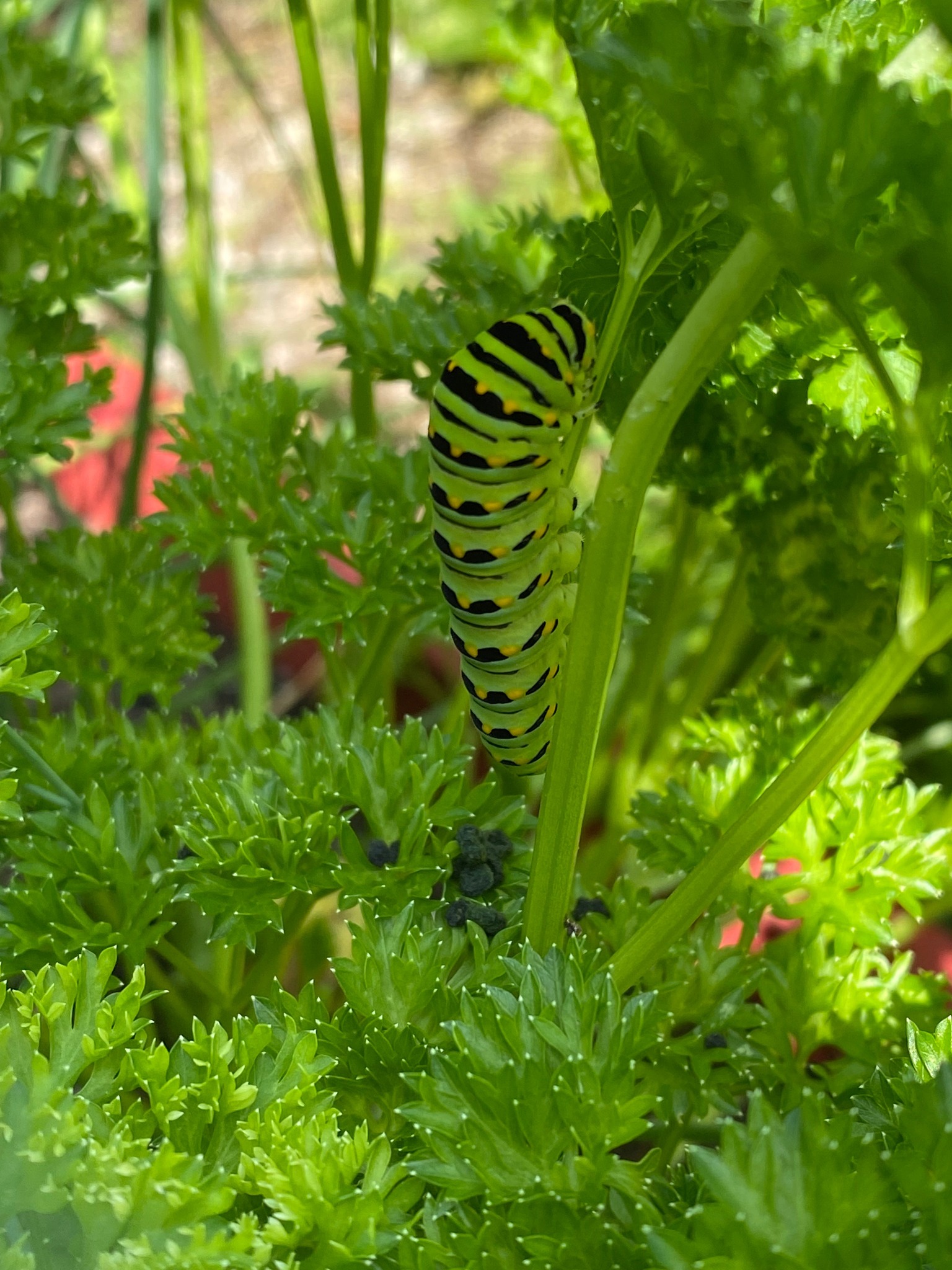 Photo of Action shot