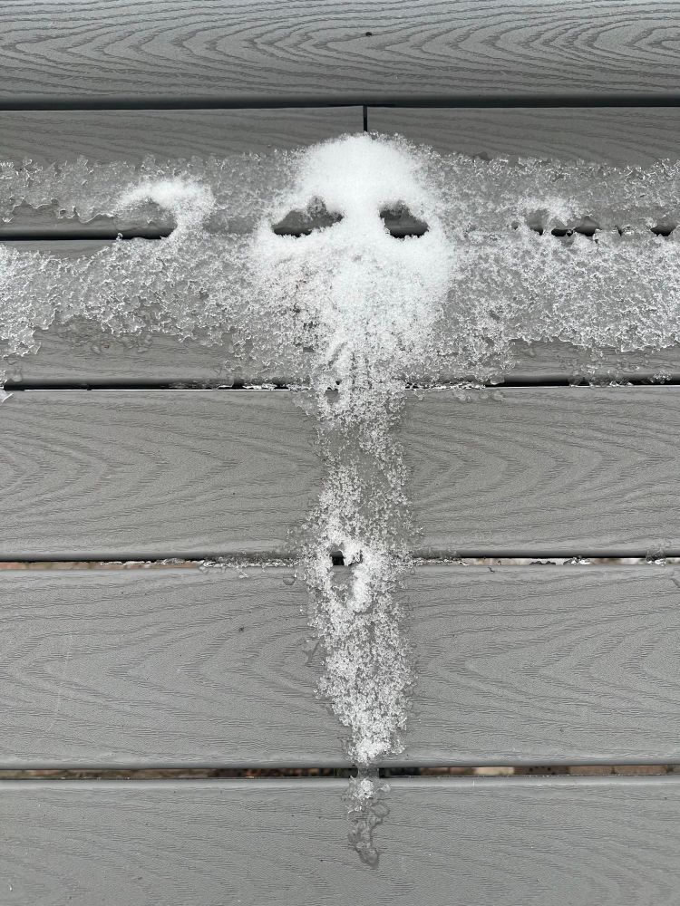 Photo of Winter ghost