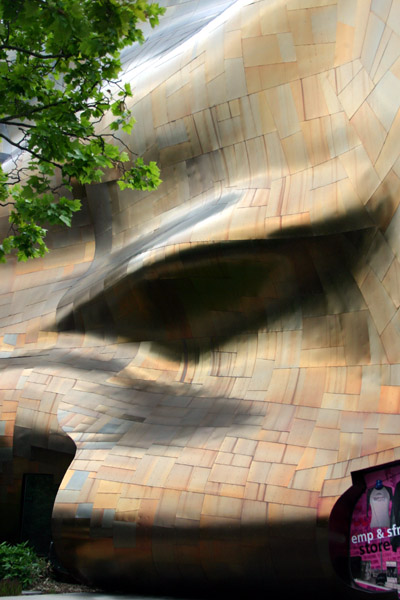 Photo of EMP (pile of organs)