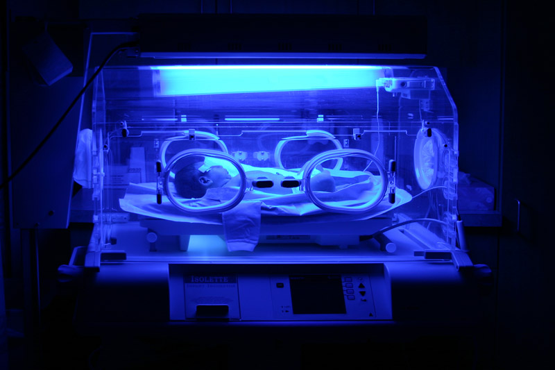 Incubator