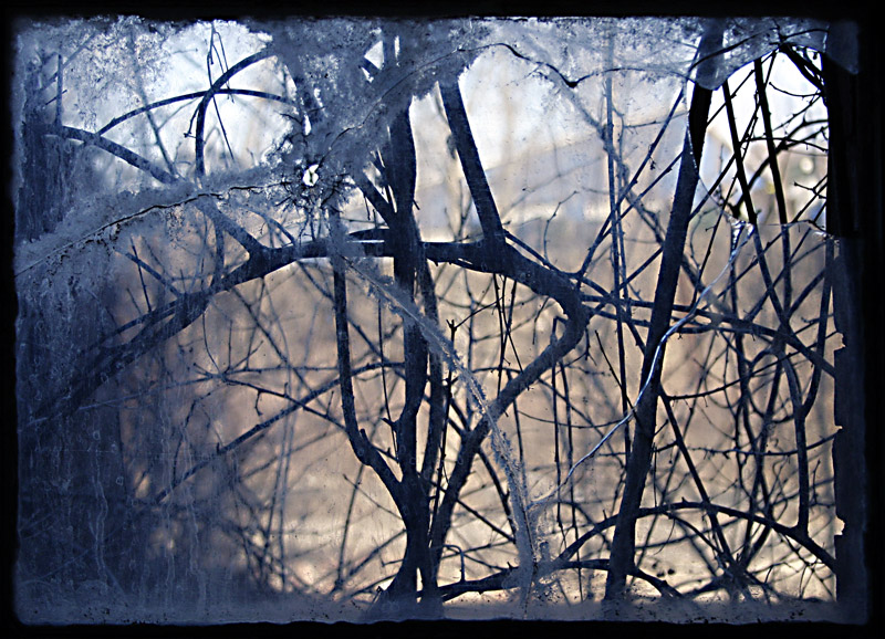 Window