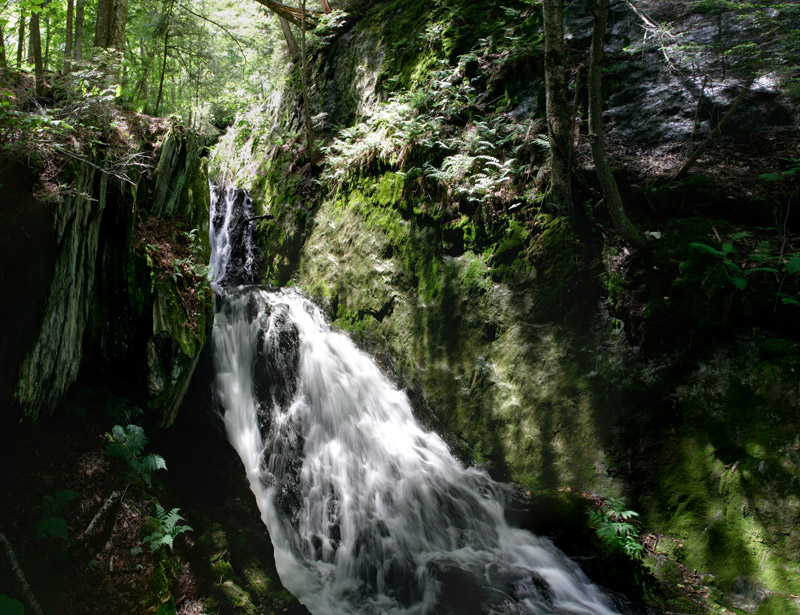 Tannery Falls, Savoy Forest