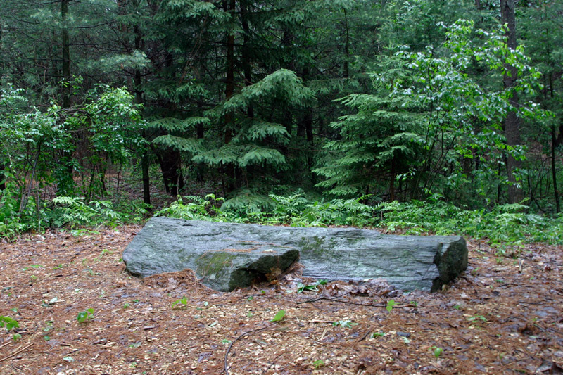 Boulder Dedicated To The Memory of W.E.B. Du Bois