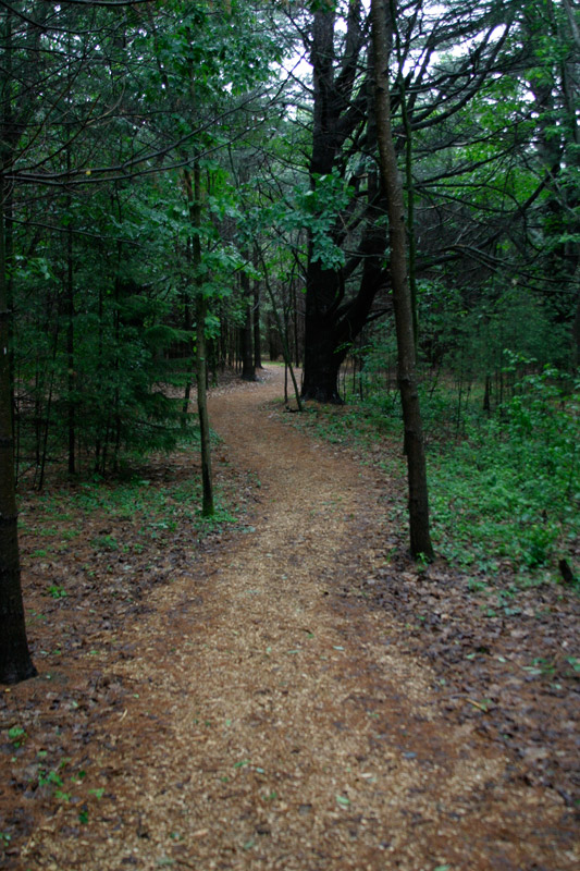 Path Leading To The Boulder Dedicated To The Memory of W.E.B. Du Bois