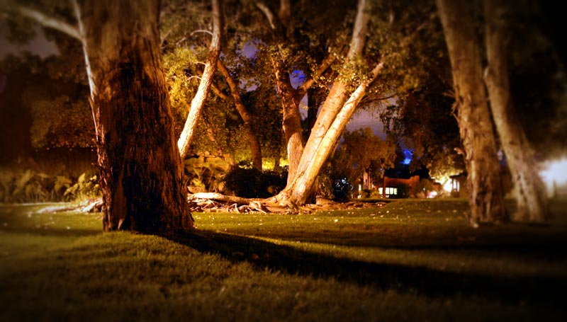 Night at Canyon Ranch
