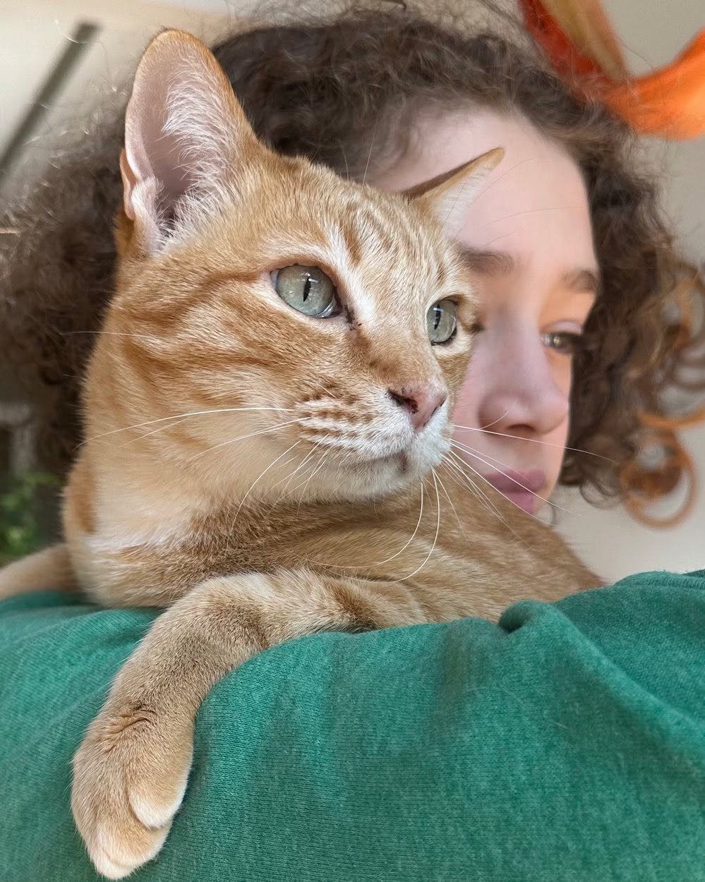 Ginger