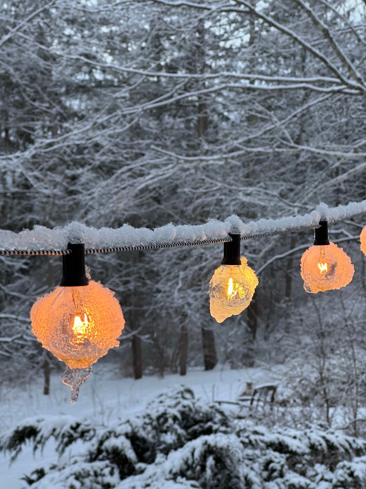 Winter lights