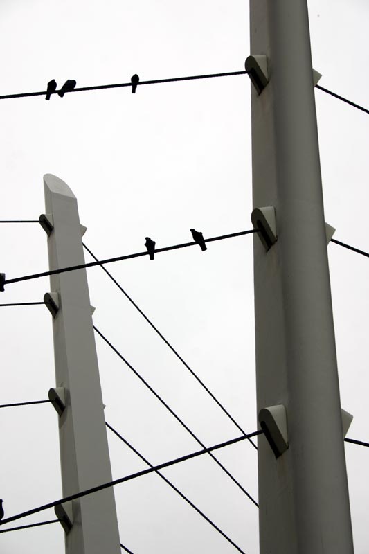 Pigeon Onna Stick