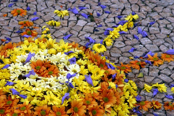 Flower festival: the sun