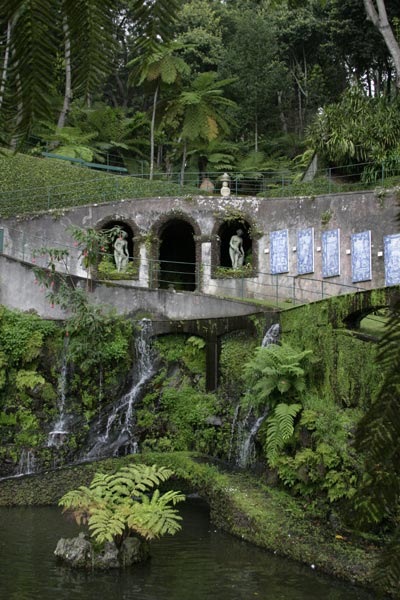What those ferns wish they could reach