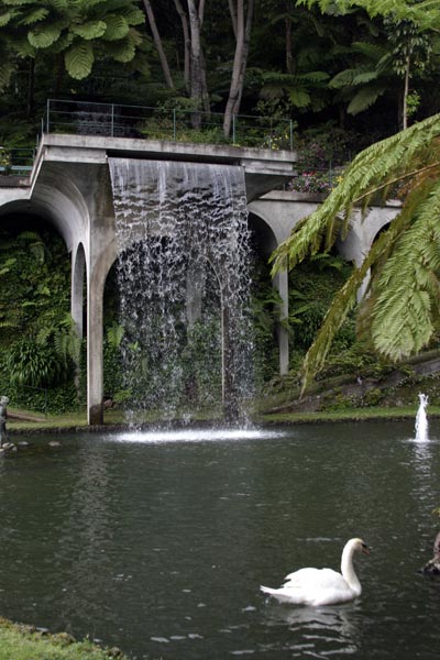 Waterfall at the Madeira Tropical Garden