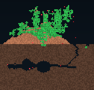 Ant farm