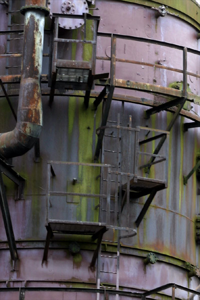 Gasworks Park, Mossy