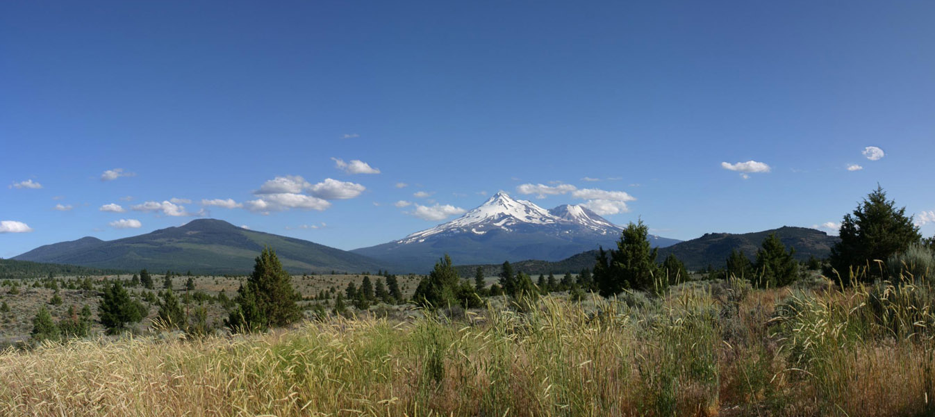 Mount Shasta