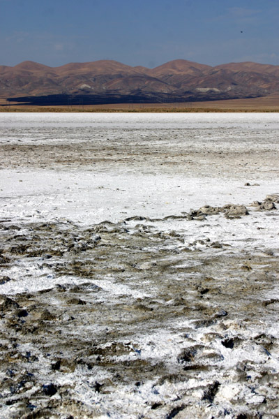 Soda Lake up close
