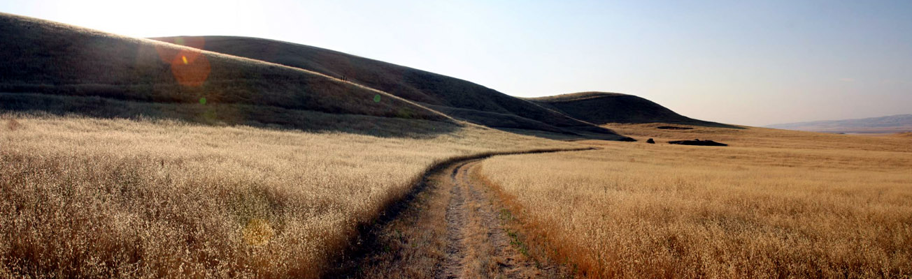 Carrizo Plains