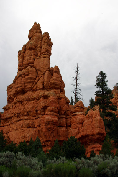 Red Canyon