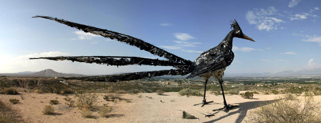 Unidentified Garbage Bird