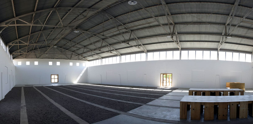 Marfa Arena