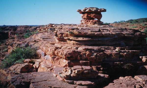 Kings Canyon is visited by the Society For Putting Things On Top Of Other Things