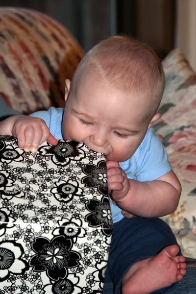 Spencer opens his Christmas present utilizing the immense power of drool