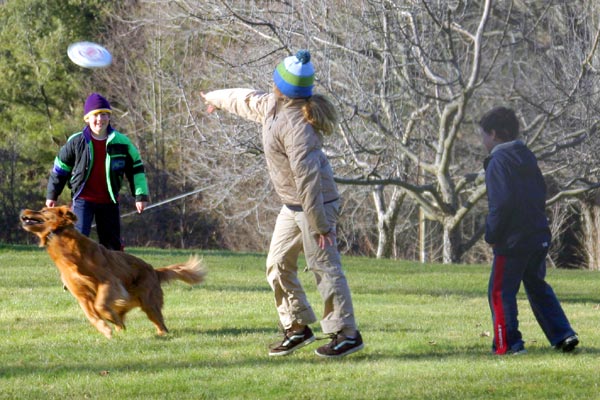Go, Dog, Go