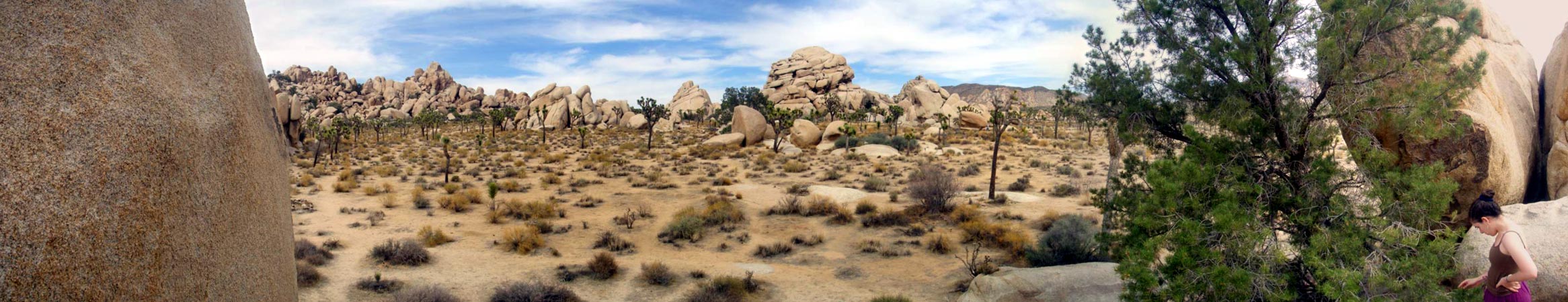 The rockiest rocks of them all