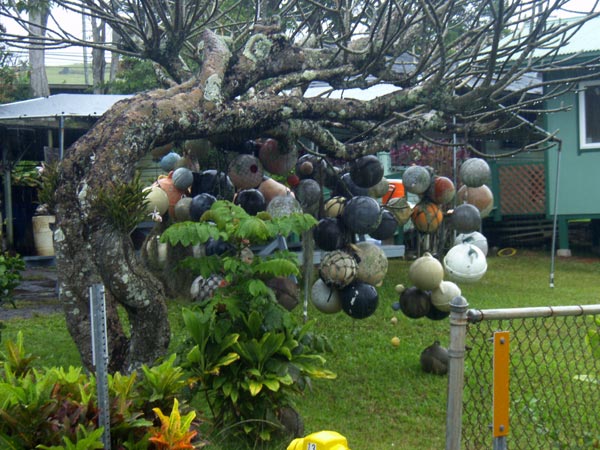 Float tree