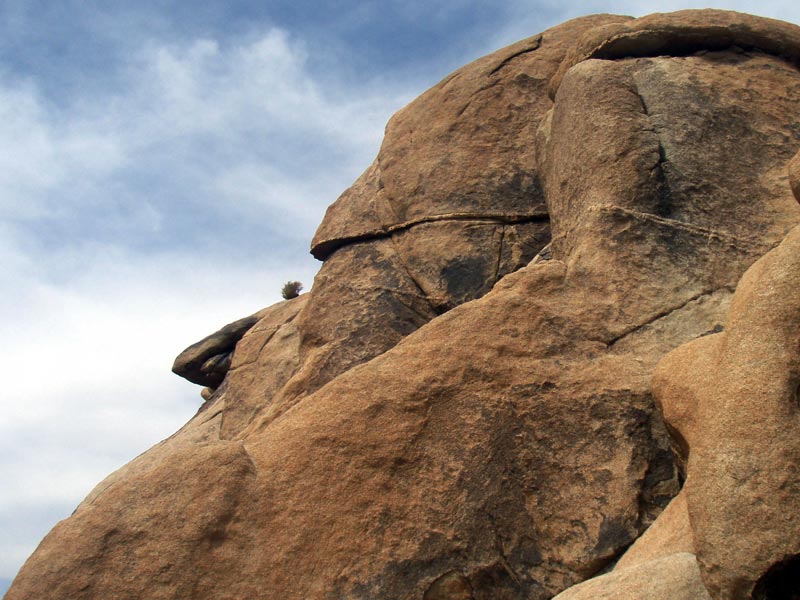 Nose Rock