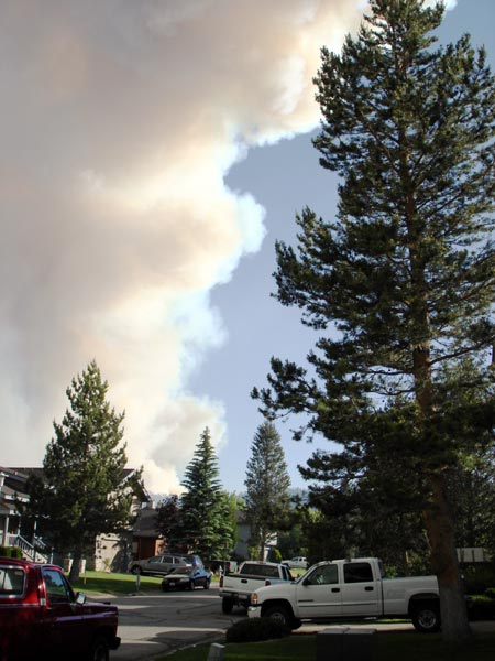 Angora Fire