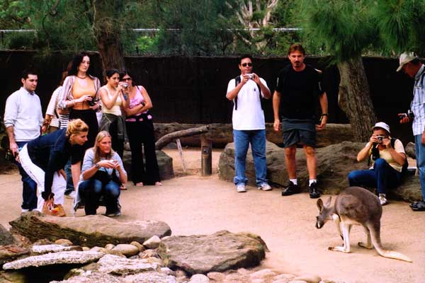 I’m ready for my closeup, Mr. Kangaroo