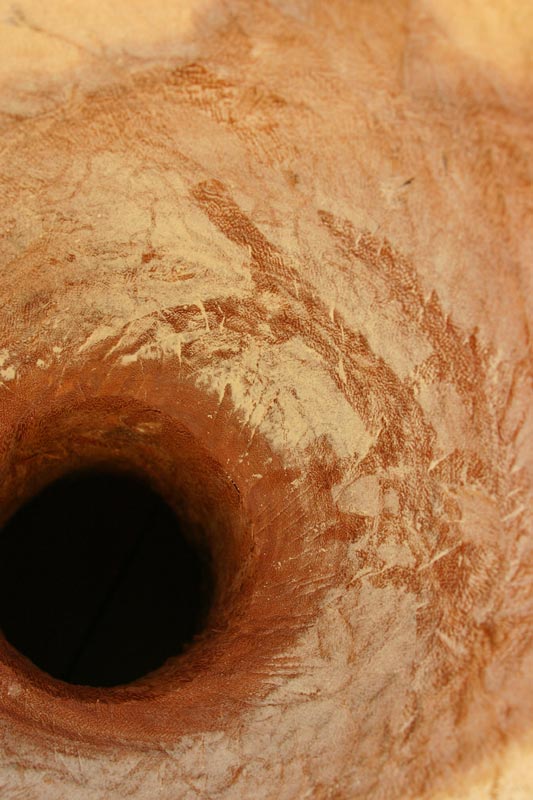Inside my djembe