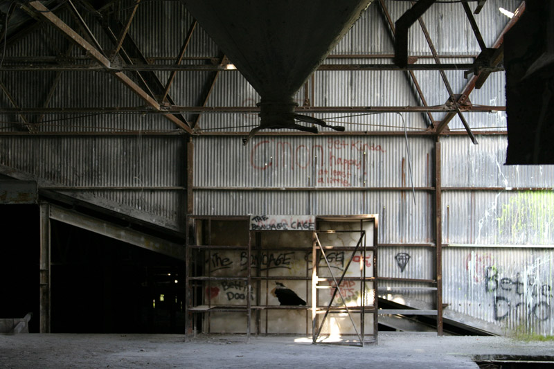 The Bondage Cage