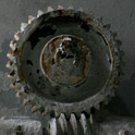 Squirm gear
